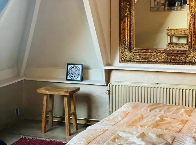 מלון De Swaen Vuren