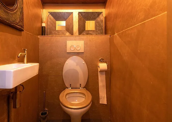 De Swaen מלון Vuren