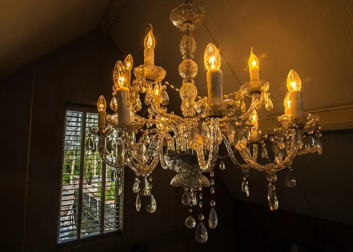 De Swaen מלון Vuren